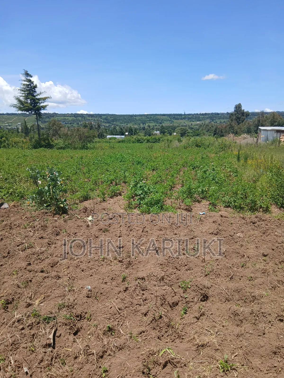 50x100 Plots in Naivasha Nyamathi Opposite Ego Petrol Station 800mts