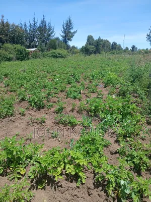 50x100 Plots in Naivasha Nyamathi Opposite Ego Petrol Station 800mts