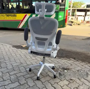 Premium Ergonomic Chair With Adjustable Flip Arms