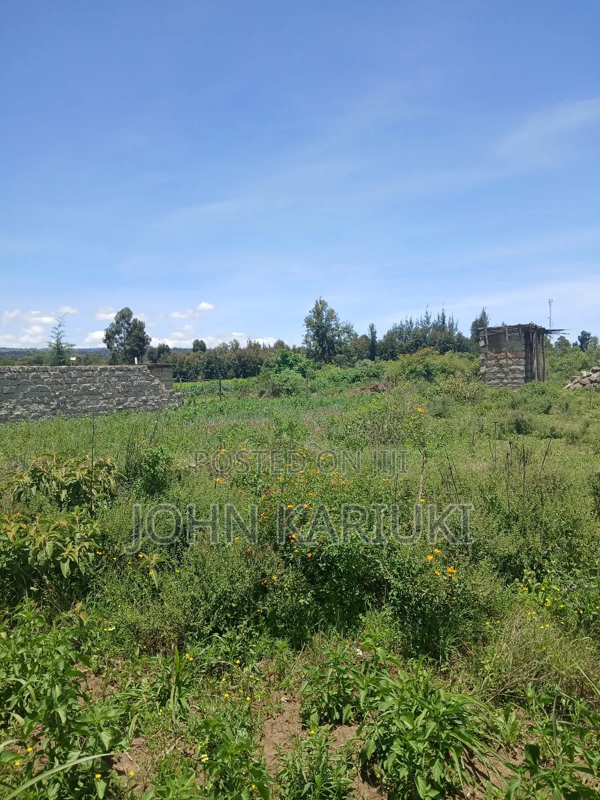 50x100 Plots in Naivasha Nyamathi Opposite Ego Petrol Station 800mts