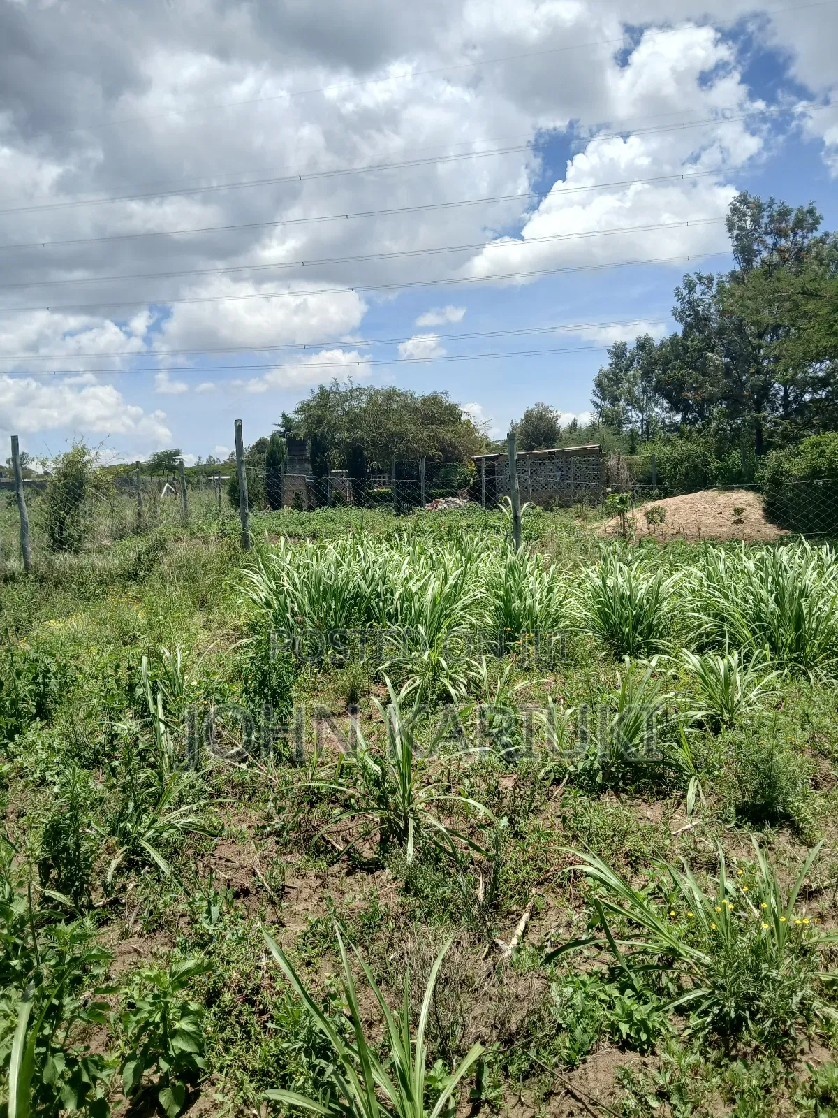50x100 Plots in Naivasha Nyamathi Opposite Ego Petrol Station 800mts