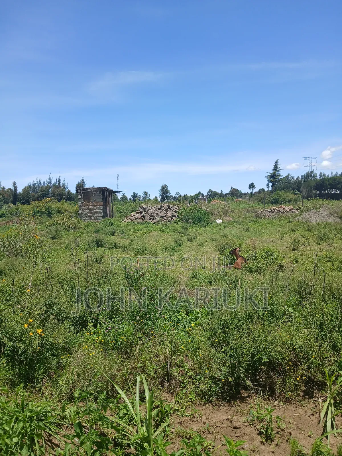50x100 Plots in Naivasha Nyamathi Opposite Ego Petrol Station 800mts