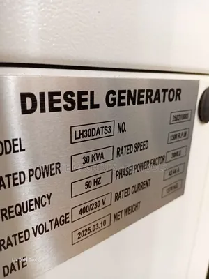 Lenhard Germany 30kva Water Cooled Diesel Generator With Inbuilt Ats