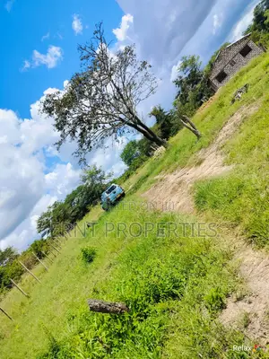 12 Acre Agricultural Project With Borehole and Farm Produce in Kwale