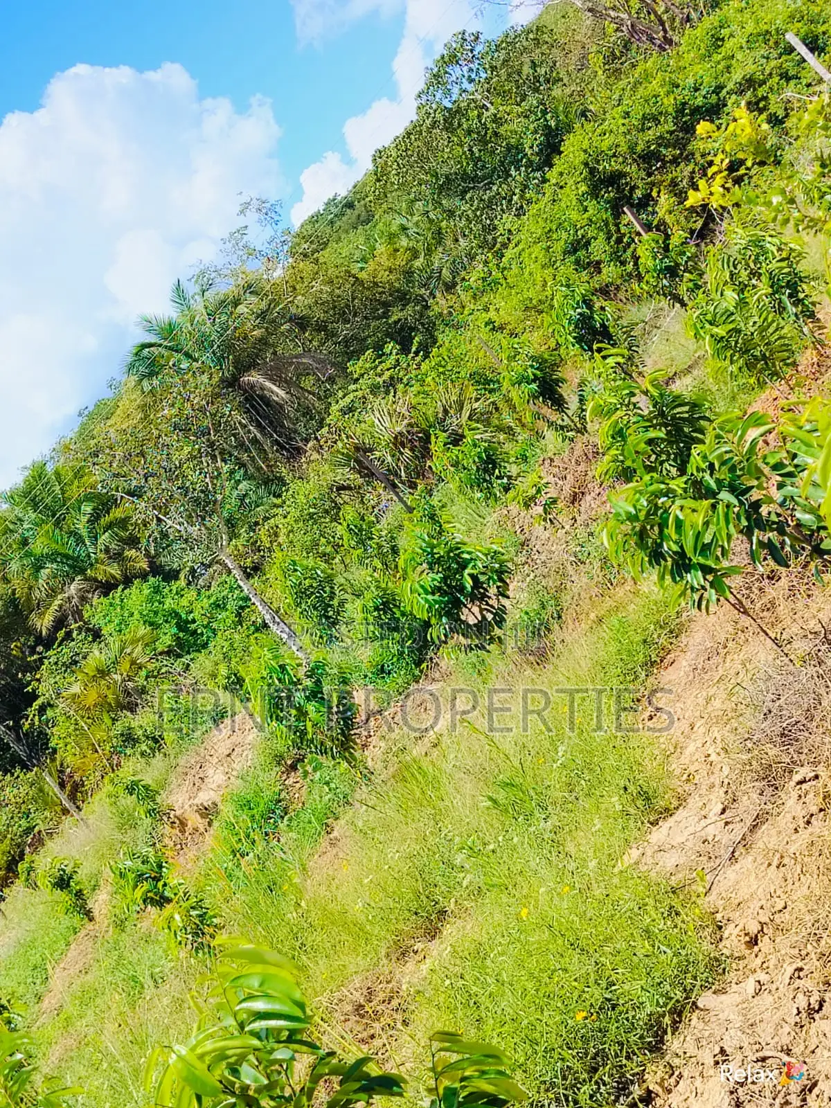 12 Acre Agricultural Project With Borehole and Farm Produce in Kwale