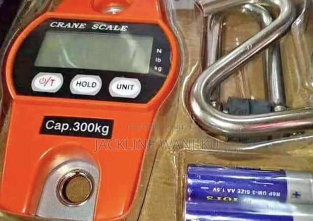 Quality Affordable Crane Scale 300kg/Crane Scale 300kg