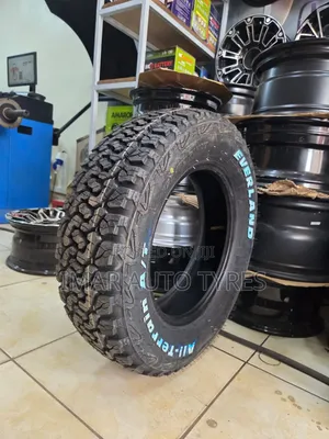 175/80r14 Everland Lt (8pr)