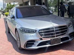 Mercedes-Benz S-Class 2021 Gray