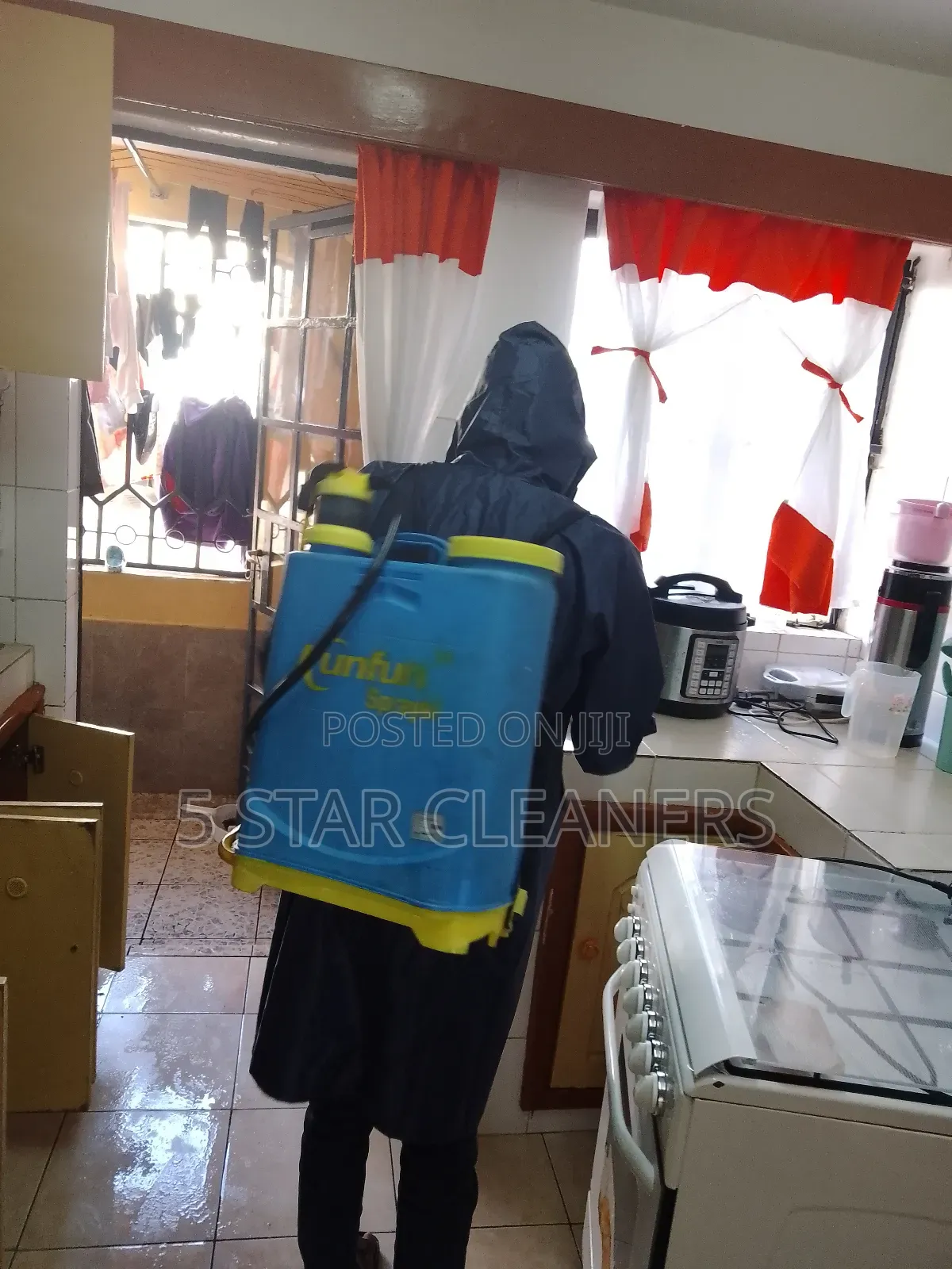 Fumigation Against Cockroaches and Bedbugs
