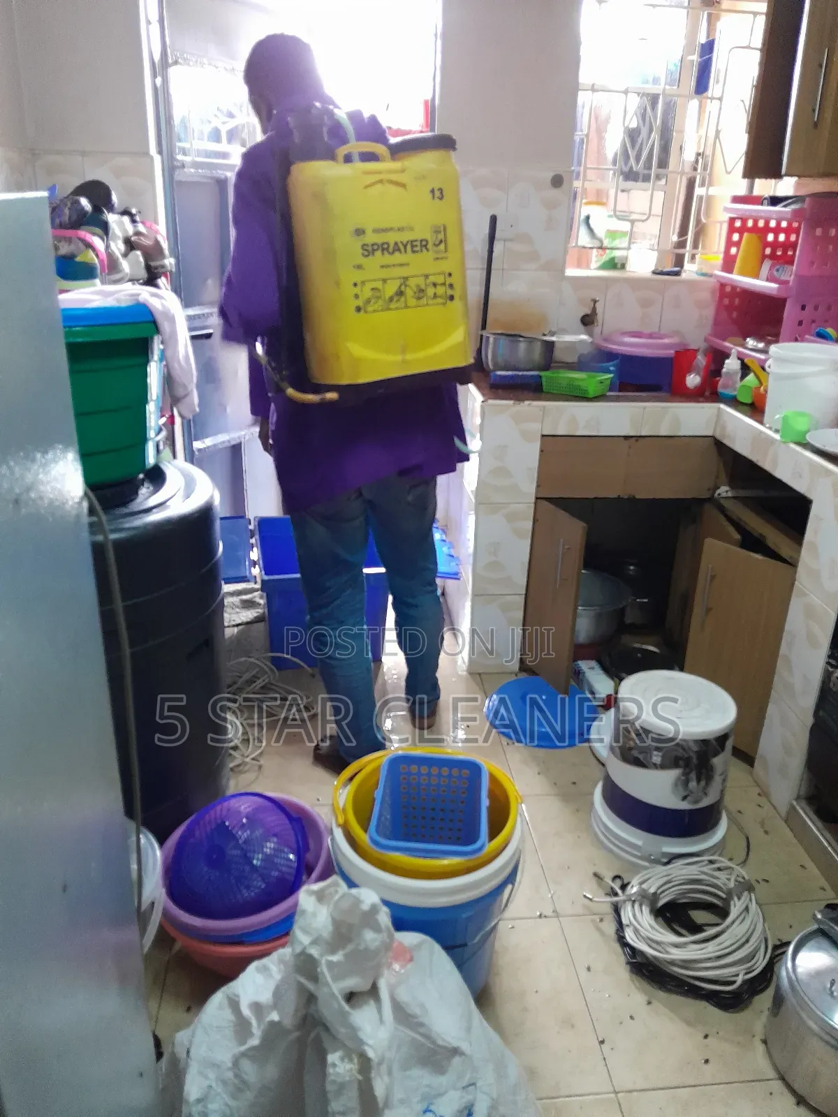 Fumigation Services Available Now