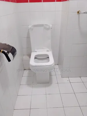Low Flushing Toilet, Leakages, Plumber Technician