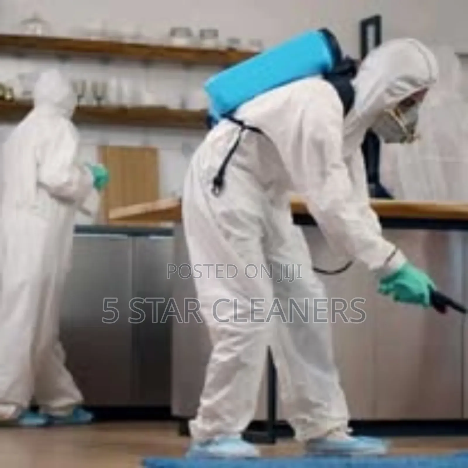 Clean Fumigation and Disinfecting Professional