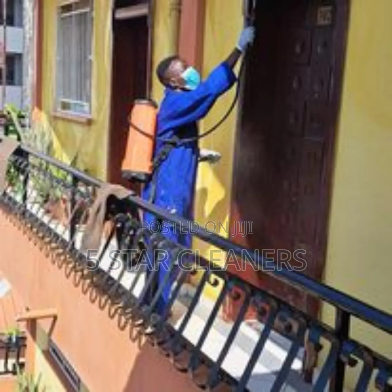 Free From Household Pests, Fumigation, and Cleaning Experts