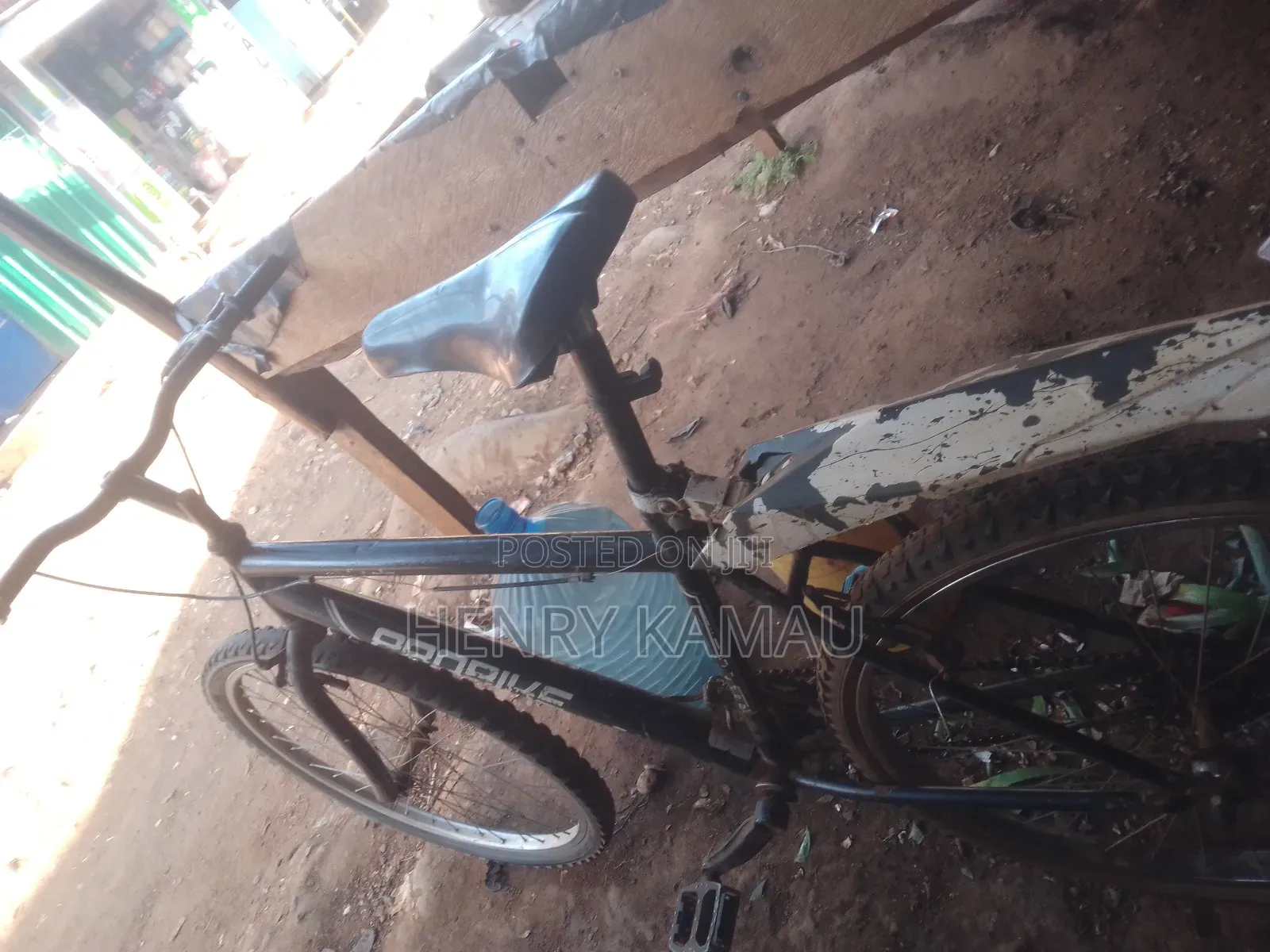 Pro Bike Mountain Bike