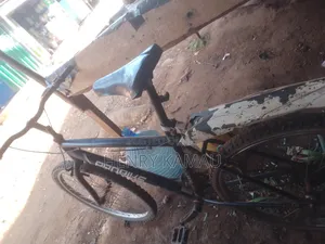 Pro Bike Mountain Bike