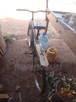 Pro Bike Mountain Bike
