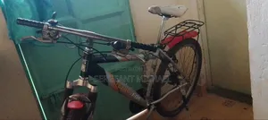 Adult Bike