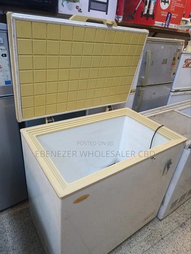 250litres Deep Freezer - main view