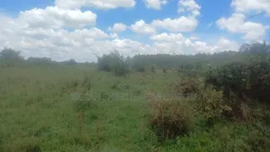 40 Acres Prime Land for Sale in Ongata Rongai