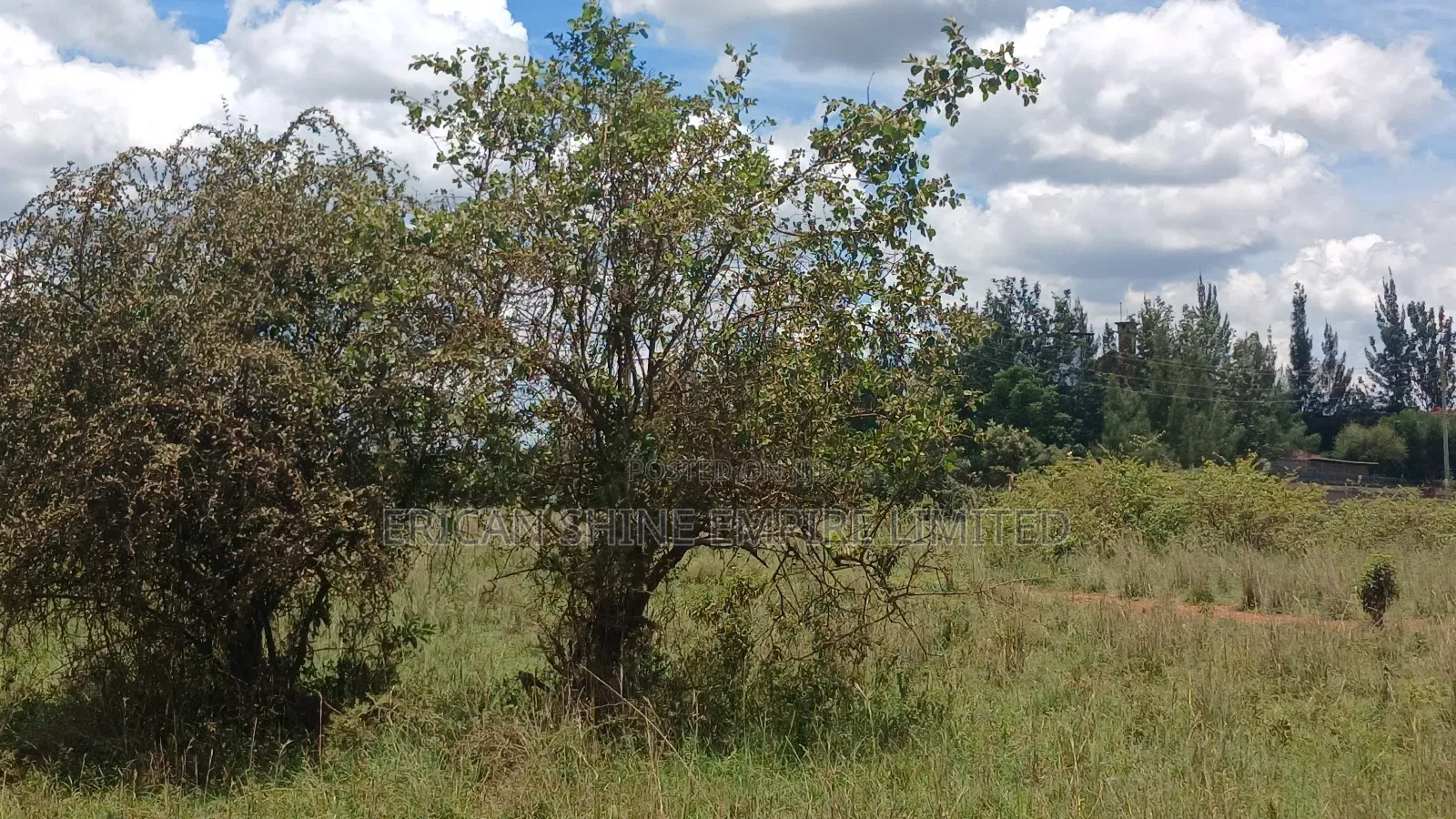 40 Acres Prime Land for Sale in Ongata Rongai