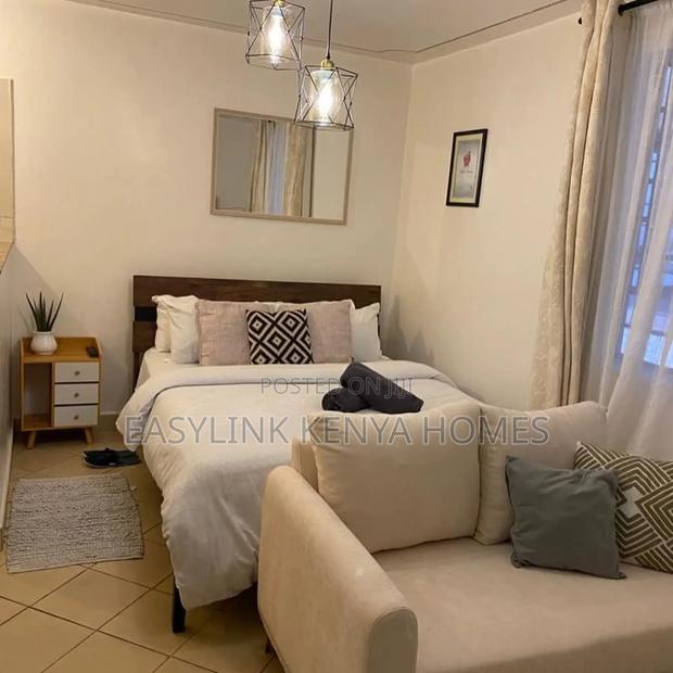 Furnished Studio Airbnb at South B - main view