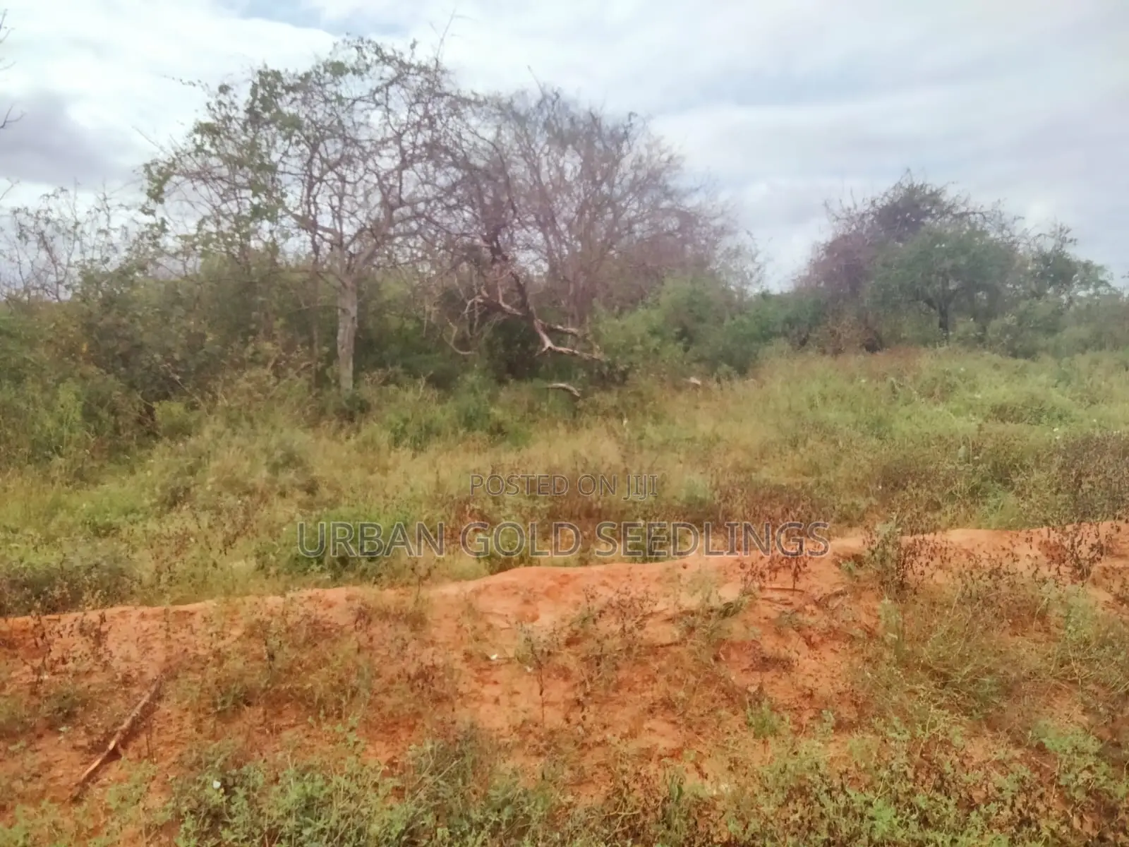 200 Acres Of Prime Land Available At Kitui, Mutomo