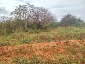 200 Acres Of Prime Land Available At Kitui, Mutomo