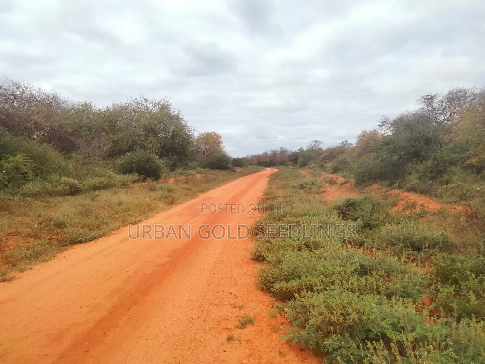 200 Acres Of Prime Land Available At Kitui, Mutomo
