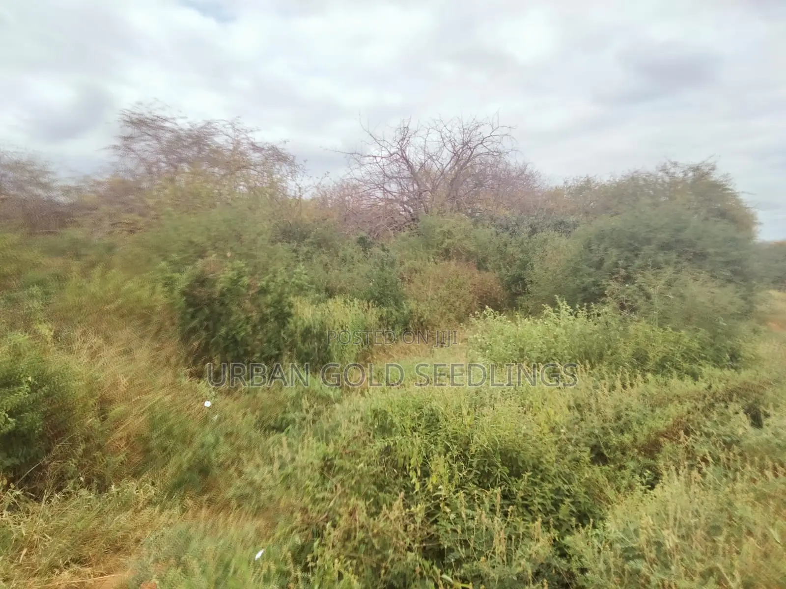 200 Acres Of Prime Land Available At Kitui, Mutomo
