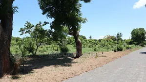 Quarter Acre Piece of Land on Sale Mtwapa by Benford Homes