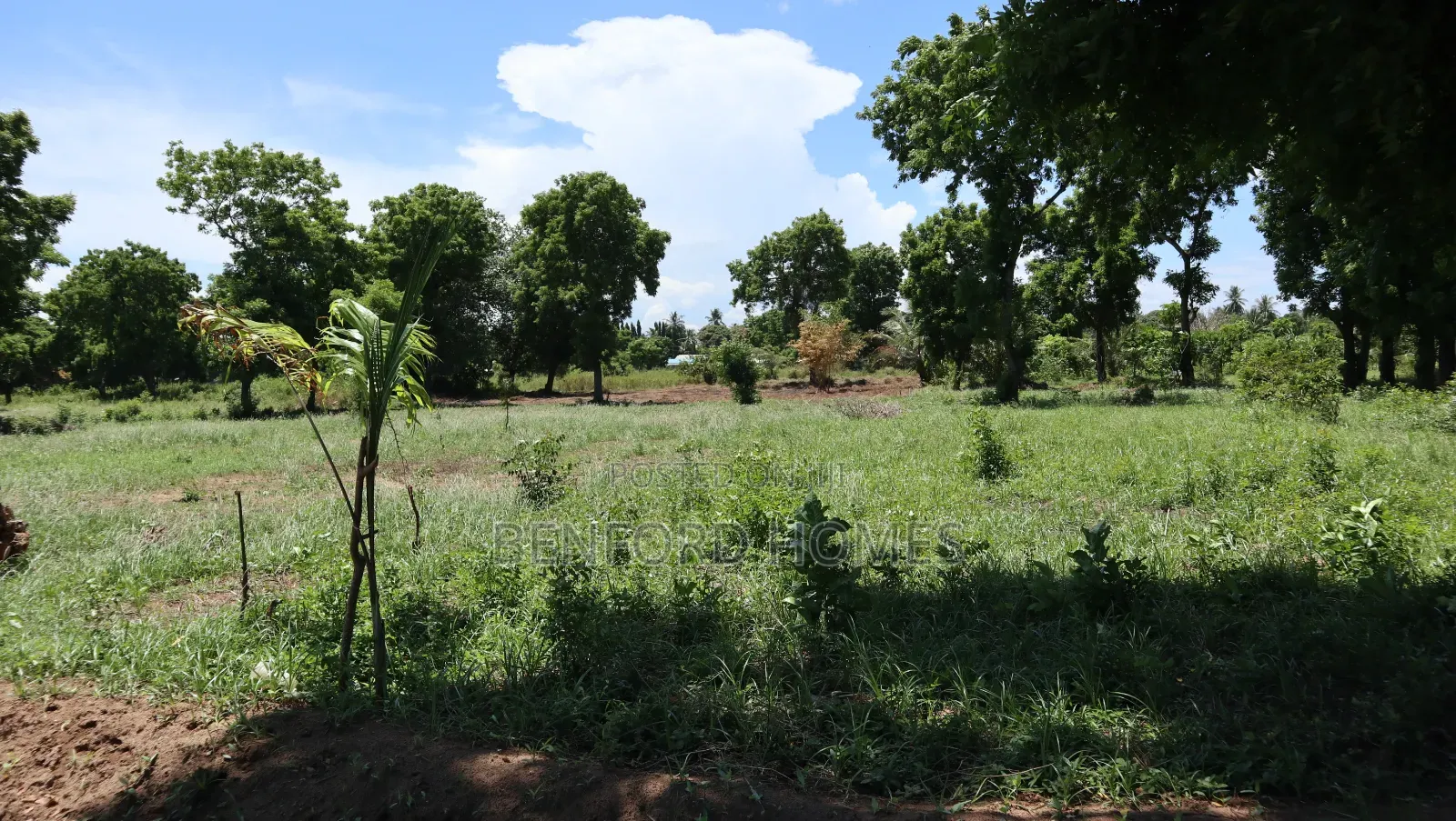 Quarter Acre Piece of Land on Sale Mtwapa by Benford Homes