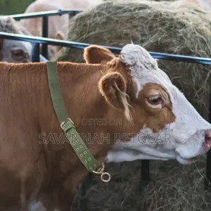 Premium High Quality Collars for Cattle, Sheep, Goats and Dogs
