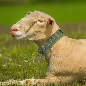 Adjustable Cattle Hauling Collars for Farm Livestock and Large Dogs