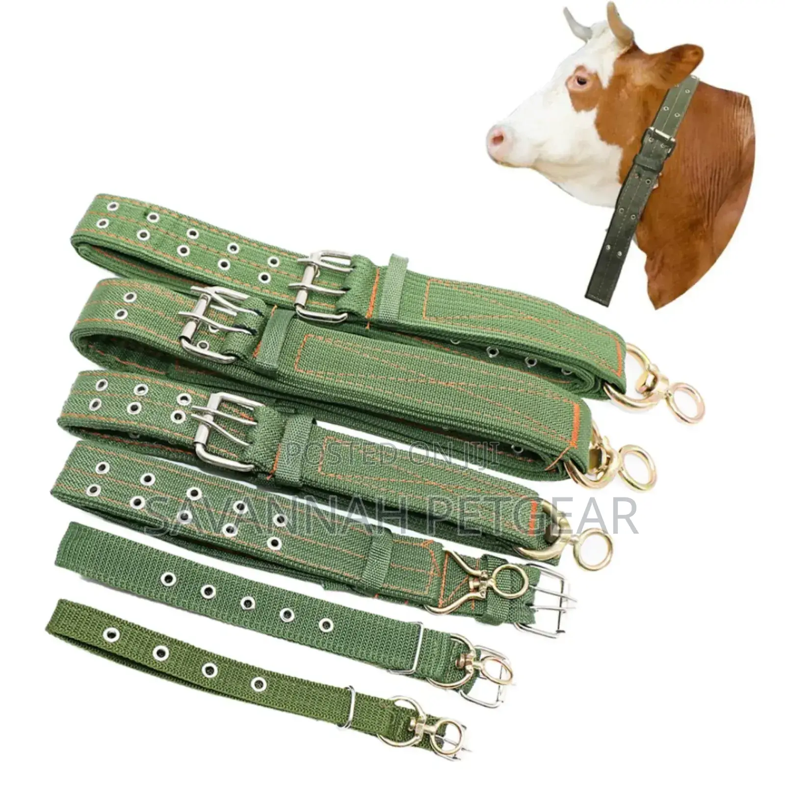 Adjustable Cattle Hauling Collars for Farm Livestock and Large Dogs