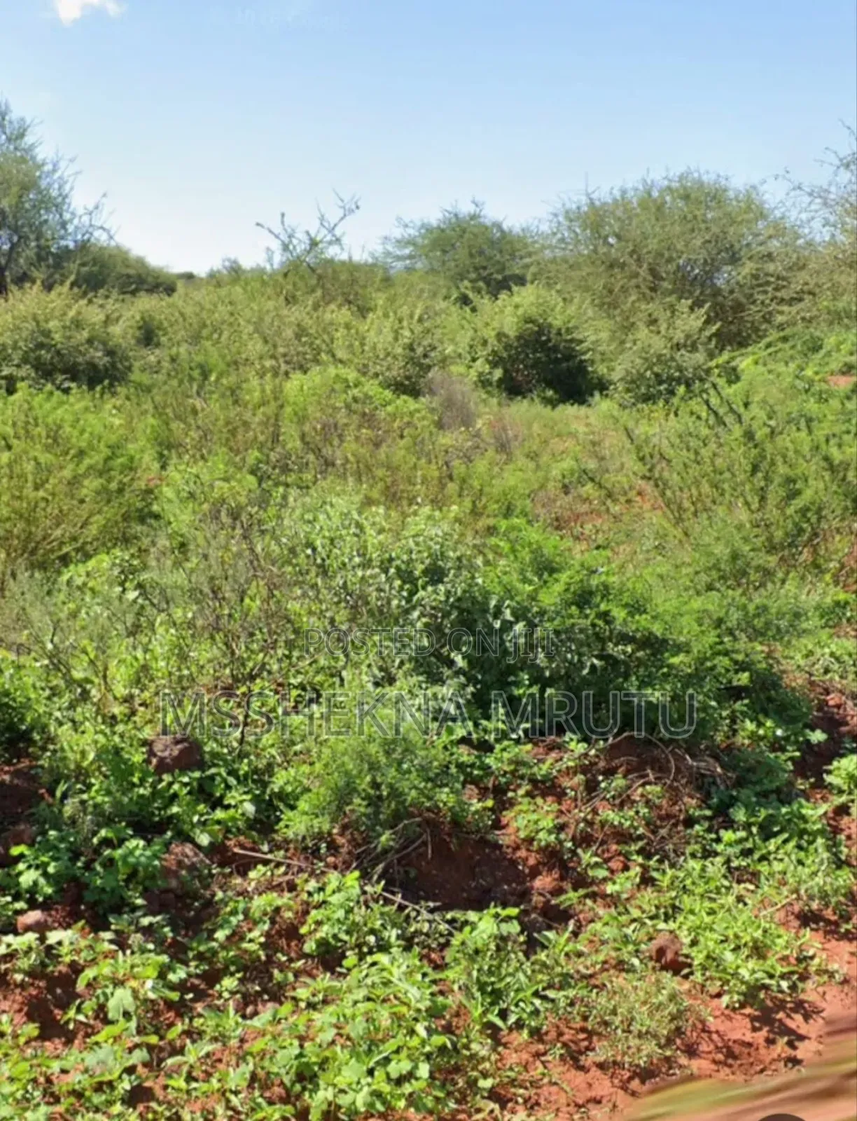 Eco- Tourism Prime Land For Sale – Lake Jipe [15.08 Acres]
