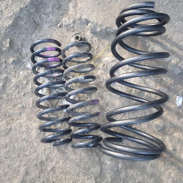 Premio 260 Heavy Duty Coil Springs