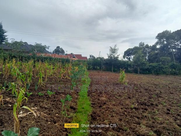 3acres Blue Line Narumoru Nyeri - main view