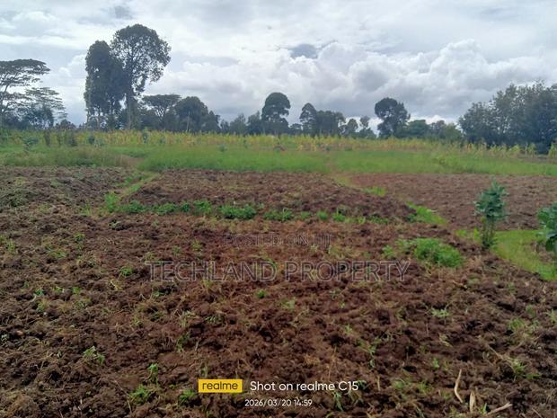 3acres Blue Line Narumoru Nyeri - thumbnail 2