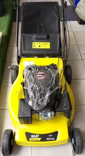 Wasp 196cc Self Propelled Lawn Mower