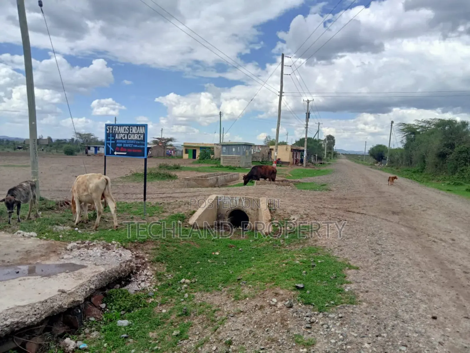 1/8acre Plot Endana Town Nanyuki.