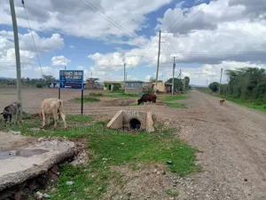 1/8acre Plot Endana Town Nanyuki.