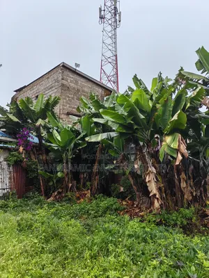 50x100 Plot Wangige Kabete Kiambu County.