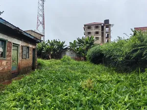 50x100 Plot Wangige Kabete Kiambu County.