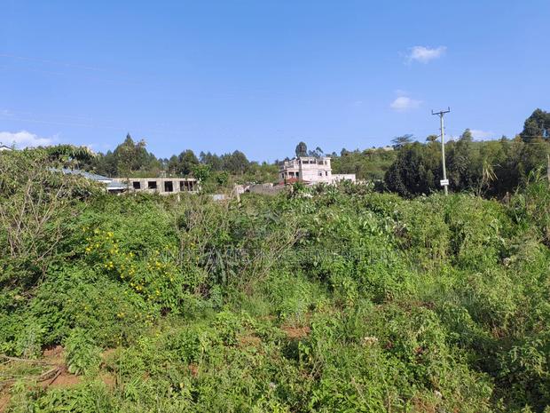 Quarter Acre Ndiguini Kamangu - thumbnail 5