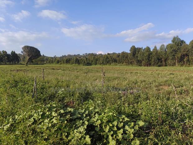 Quarter Acre Ndiguini Kamangu - thumbnail 12