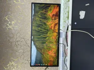 Dell Monitor 29inches