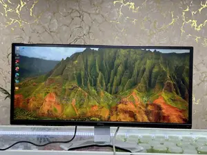 Dell Monitor 29inches
