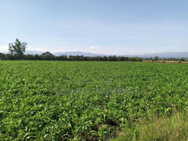13.5acres Timau