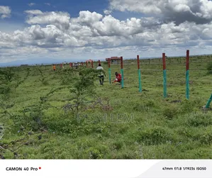 Plots for Sale in Mwalimu Farm