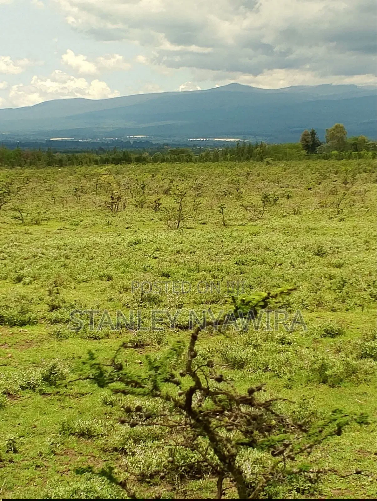 6 Acreas Nanyuki Mukima